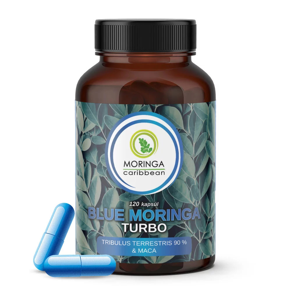 moringa blue turbo