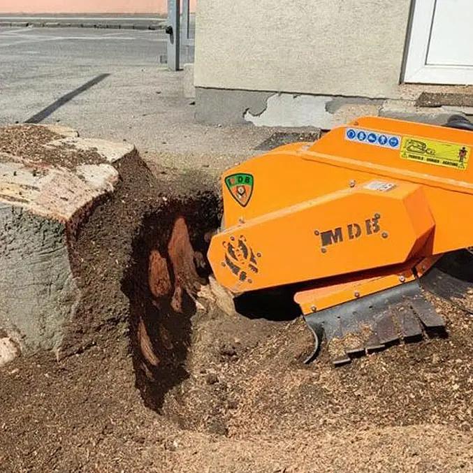 Čo s pňom po strome v z&aacute;hrade